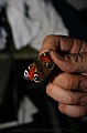 IMG_6892